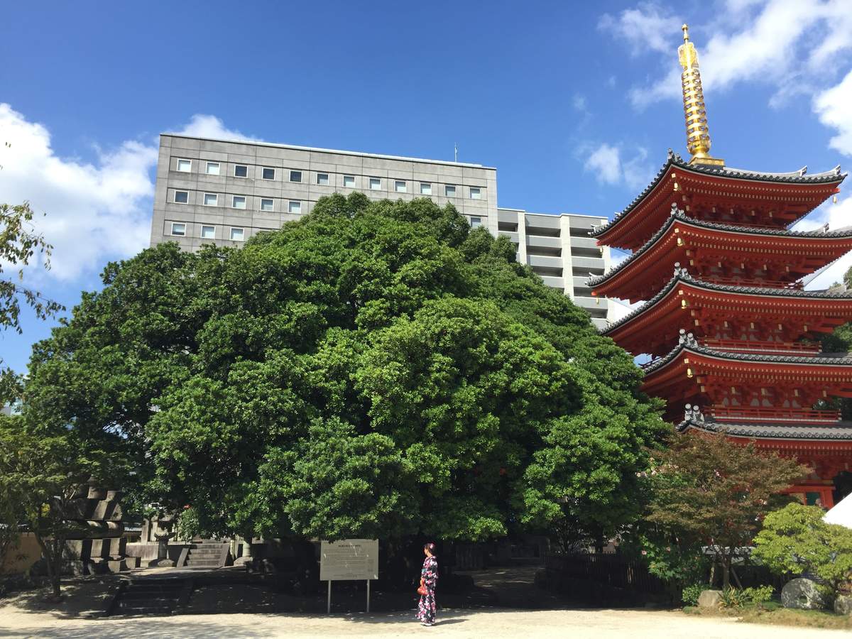 日本@九州@福冈