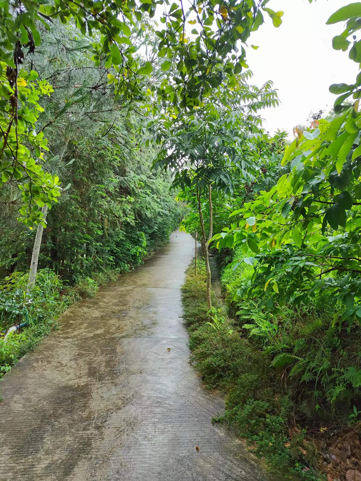 Bug求助+悬赏