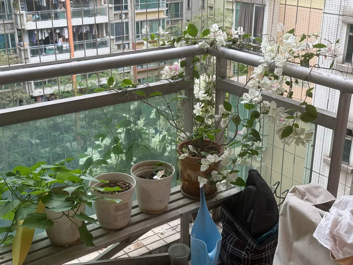 将 Next.js 项目从 Vercel 迁移到 Cloudflare