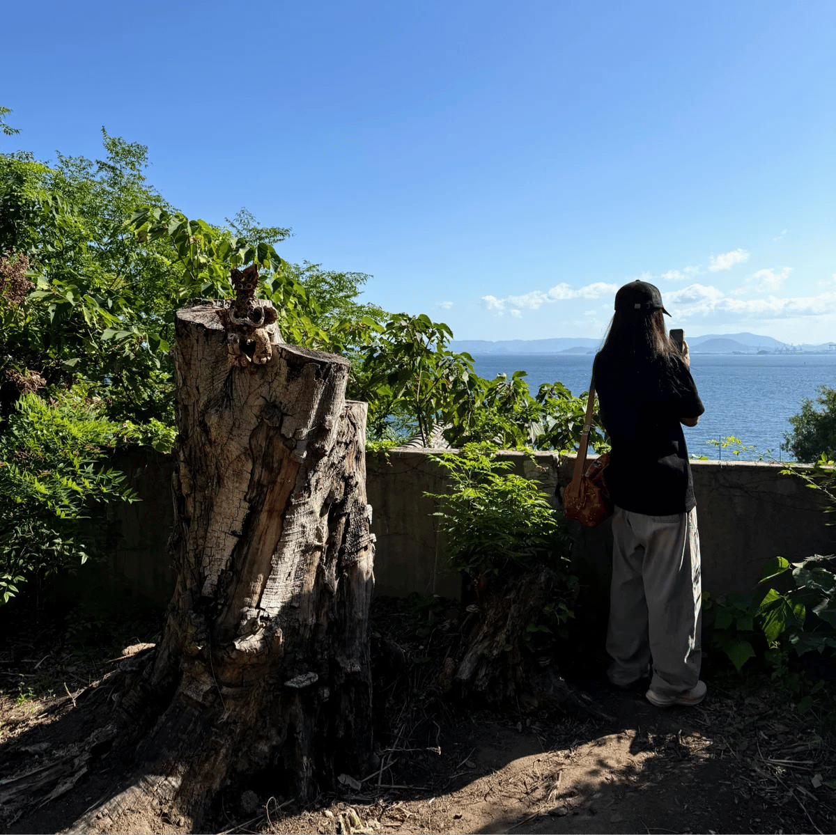 一次 TiDB 向量查询优化实战：