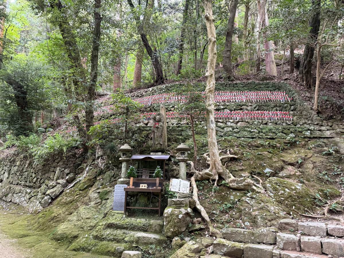 分享我维护代码质量的 Skill，给大家的 Vibe Coding 作品延年益寿