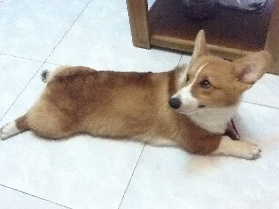 姆依姆依险些走失