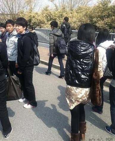 雷斯基潮图一张