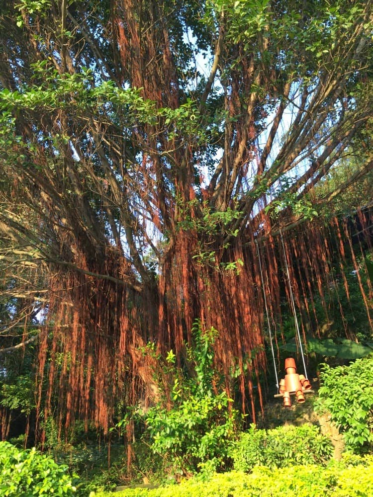 台北最爱——少帅禅院