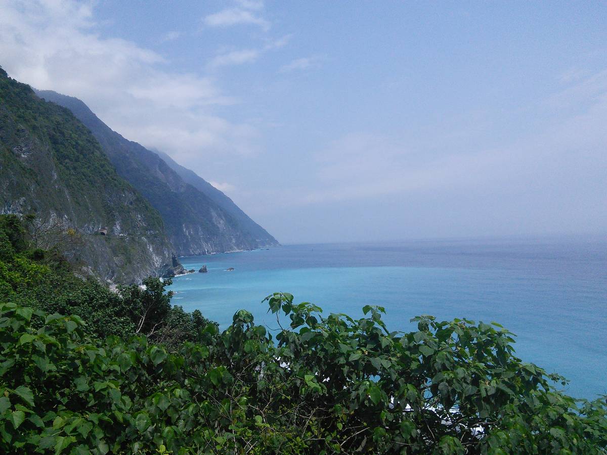 《岛上书店》读后