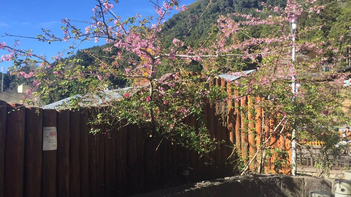 FontAwesome 通过组合创建新图标