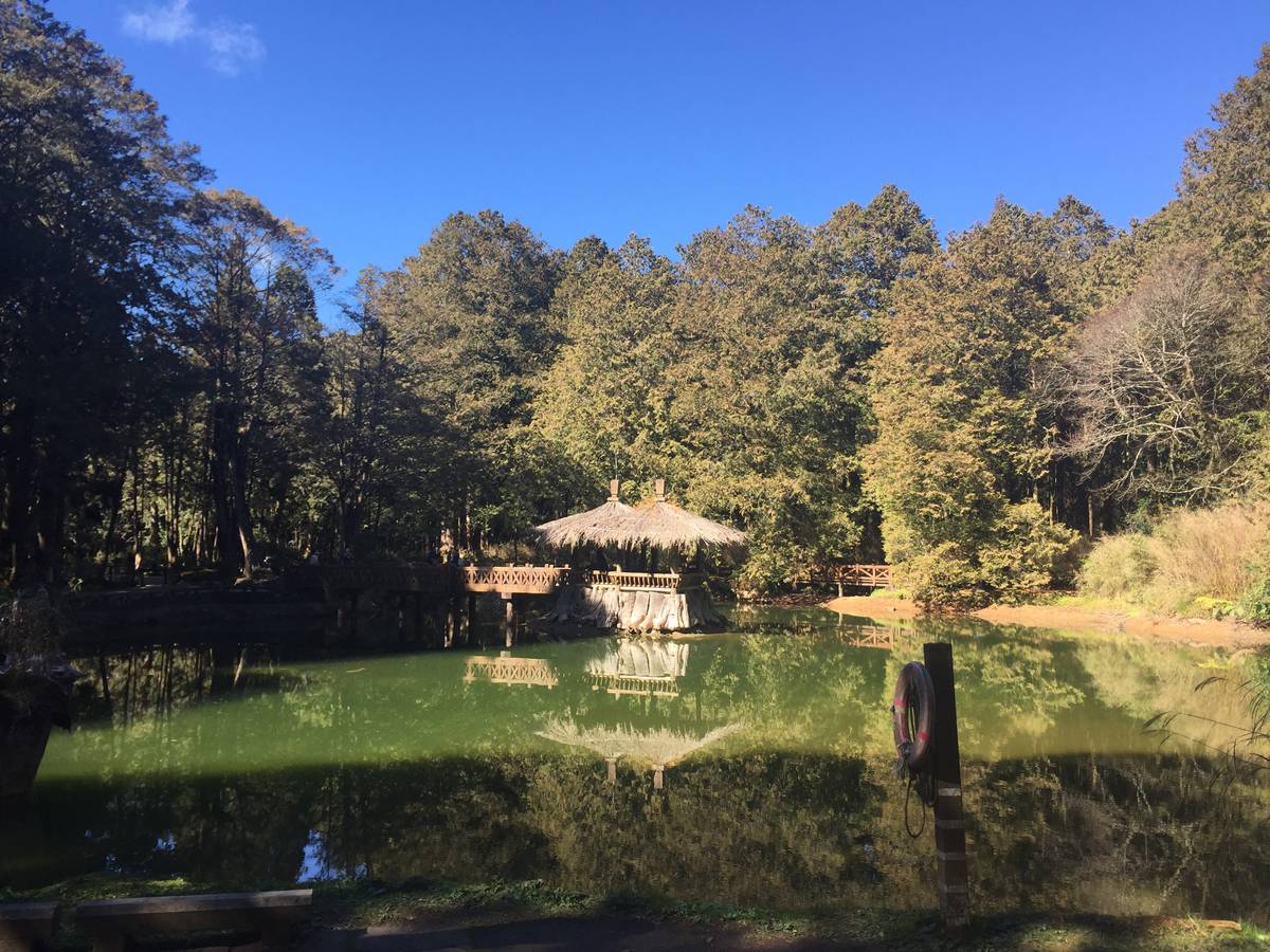 Electron + Vuex 导致视图无法自动刷新的问题