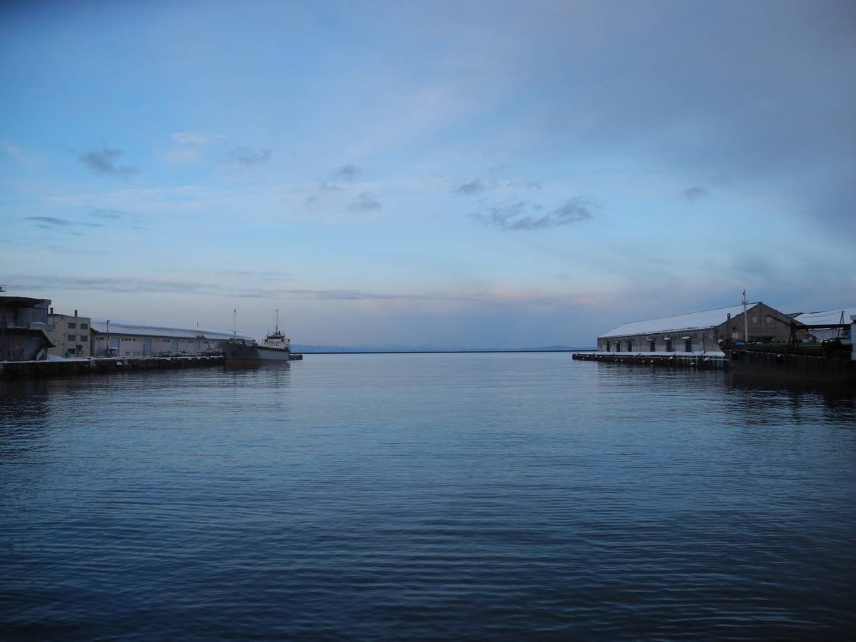 一个超级诡异的 iOS Safari `position: fixed` 失效问题