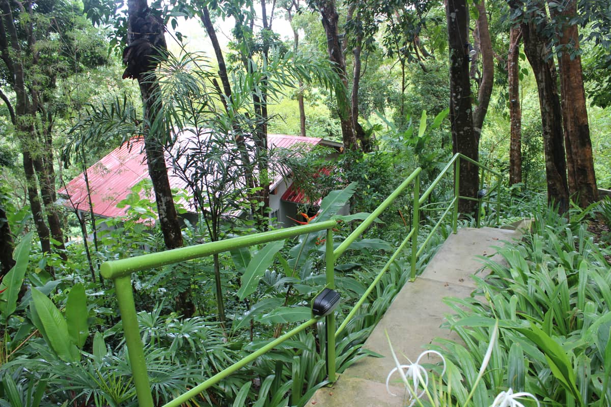 第三次直播总结，兼谈技术教学