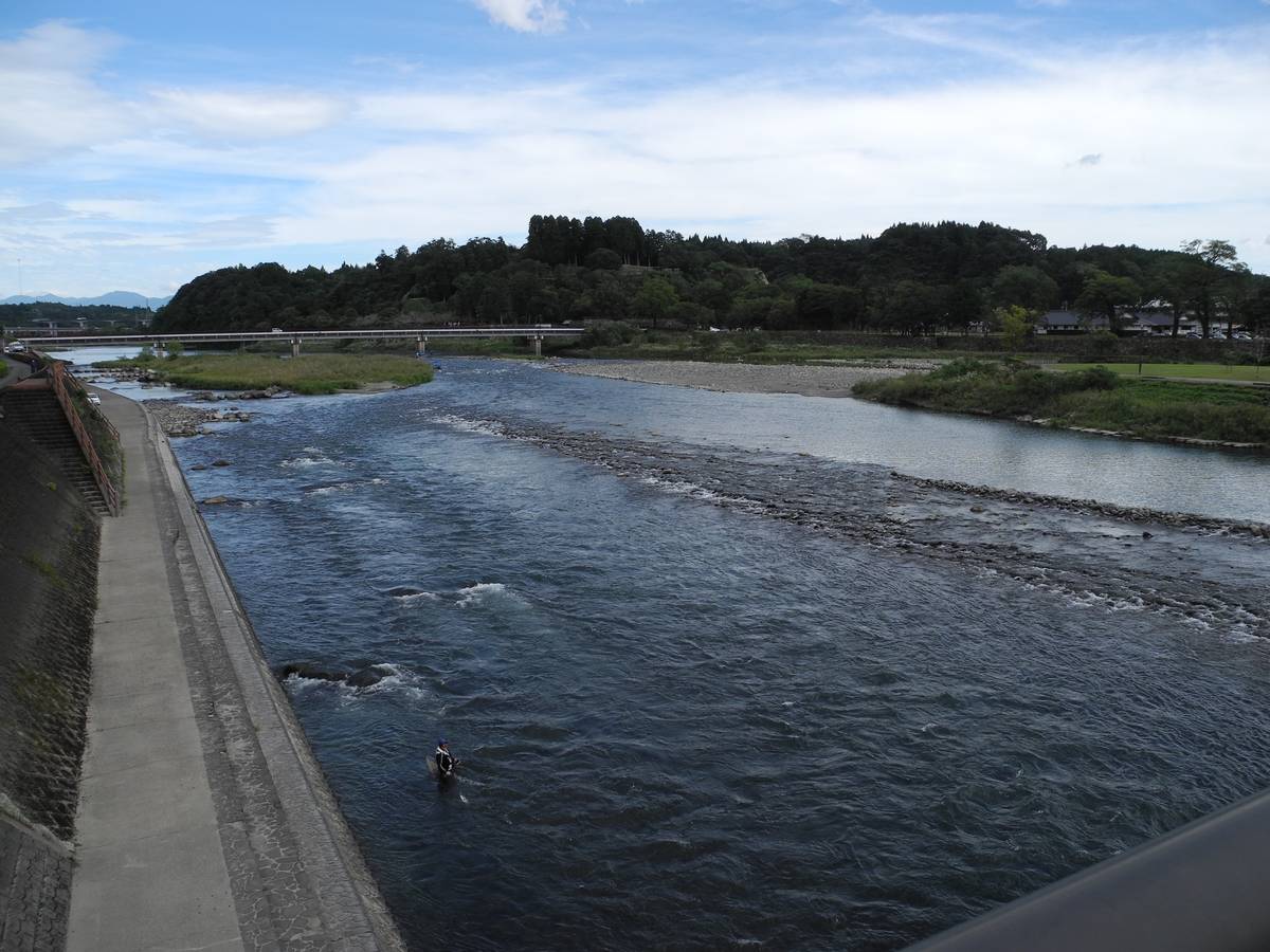 第四，第五次直播总结