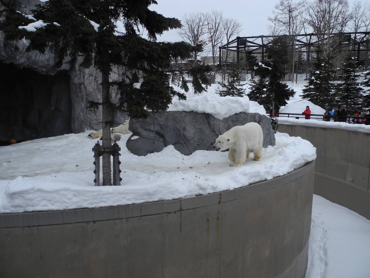 自由职业的利与弊