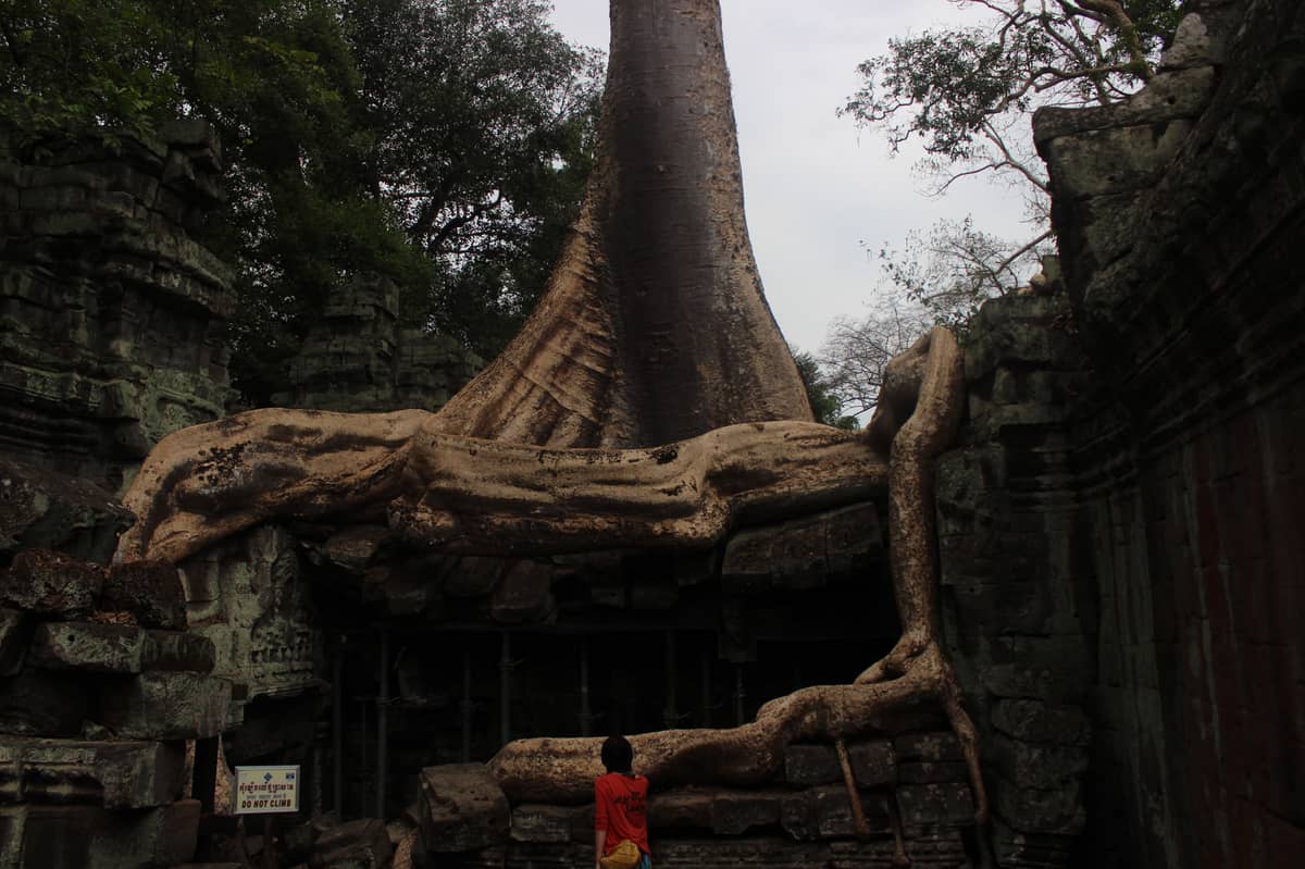 MySQL 的编码问题