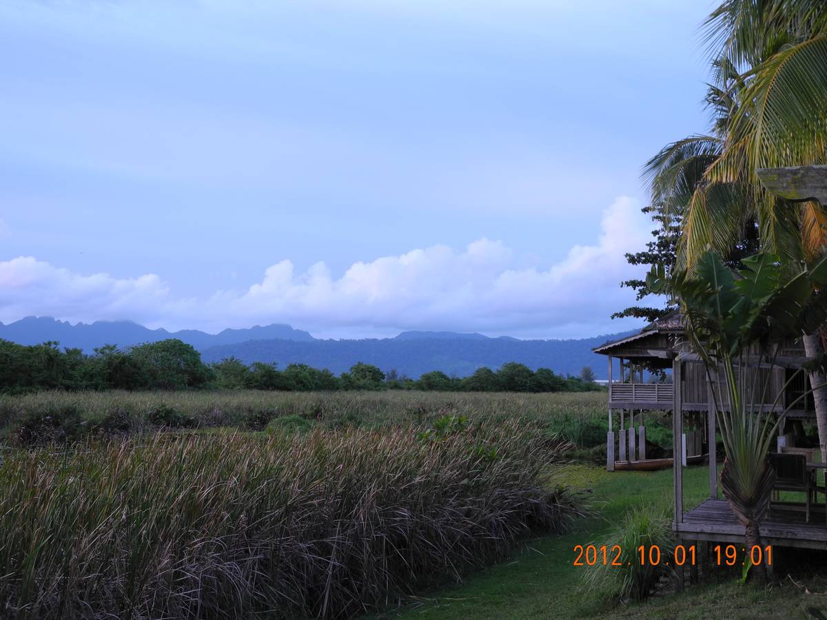 升级依赖的一些小感受