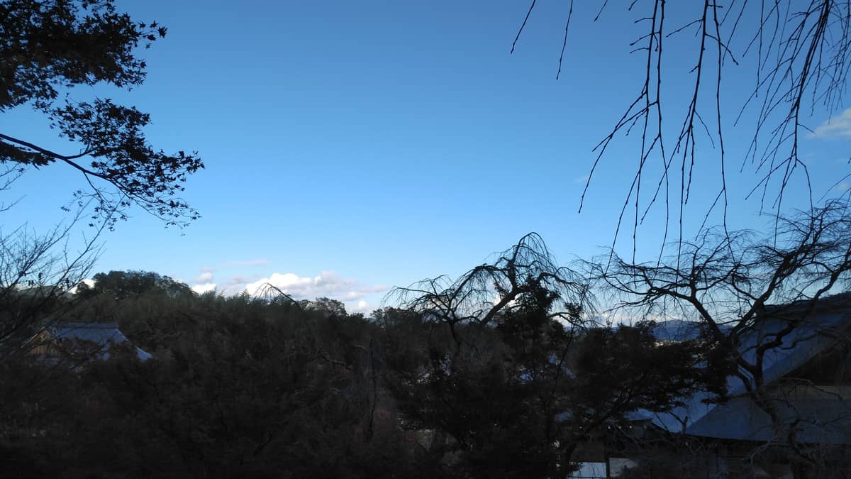 应用创意：好宝宝