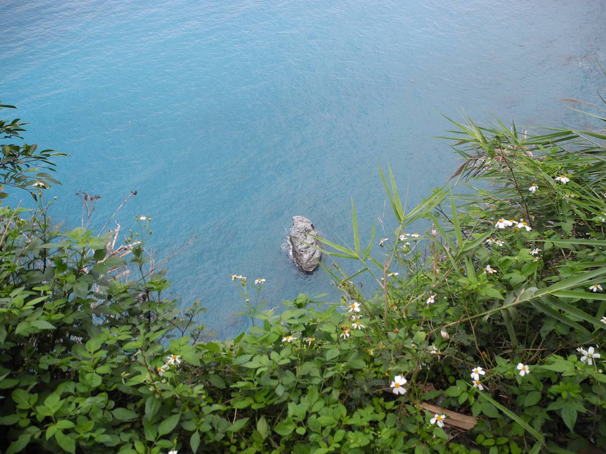 服务器备份工具