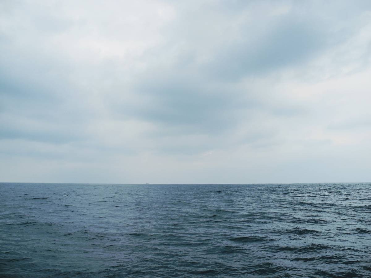 应用创意：Chrome 共享首页