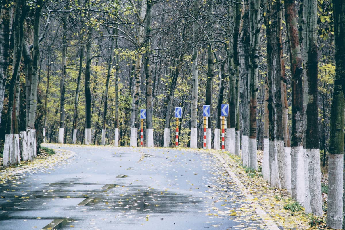 在 Pug 模板中使用变量