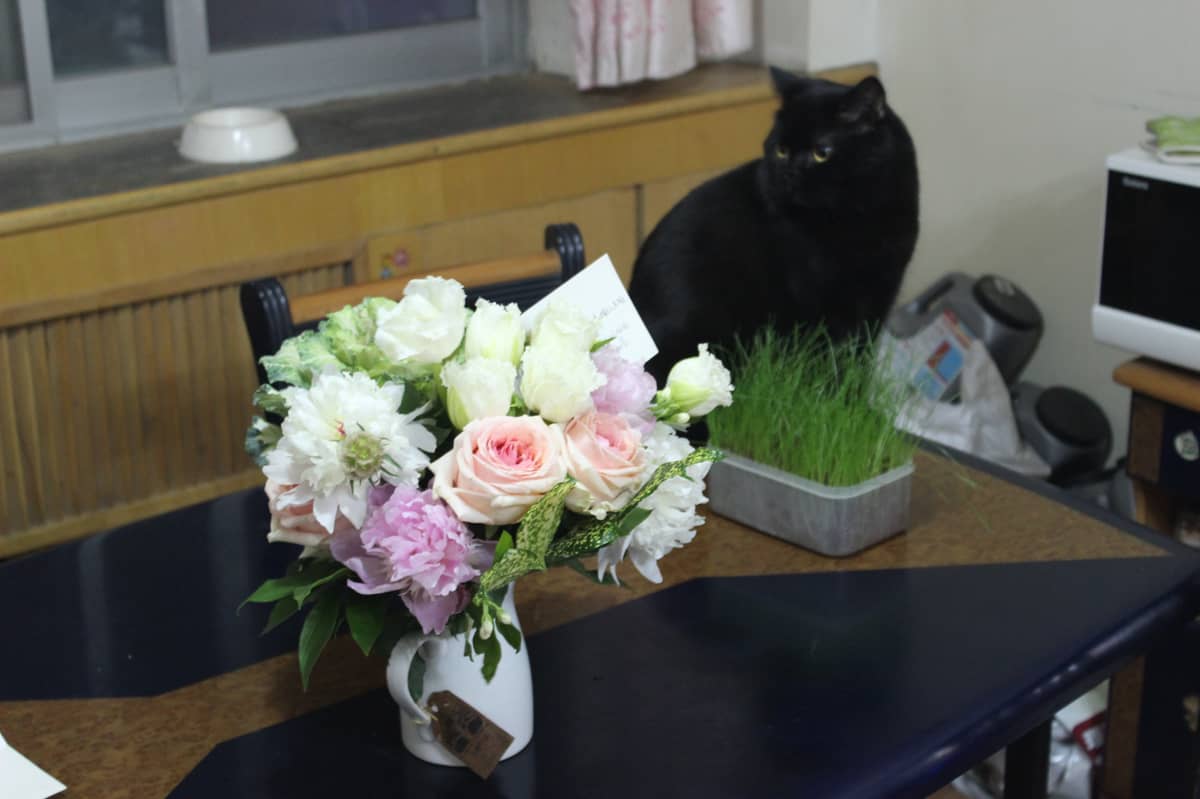 远程办公的环境选择