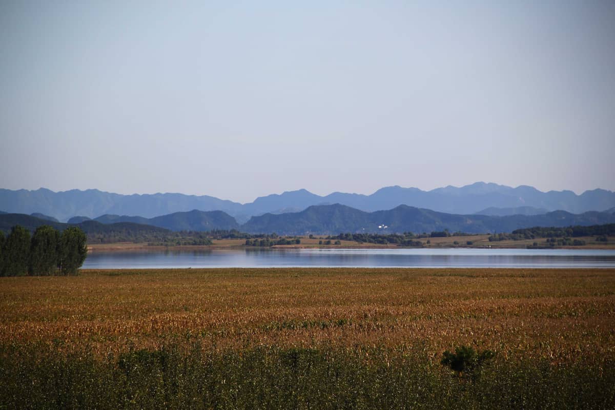 文档的最佳实践