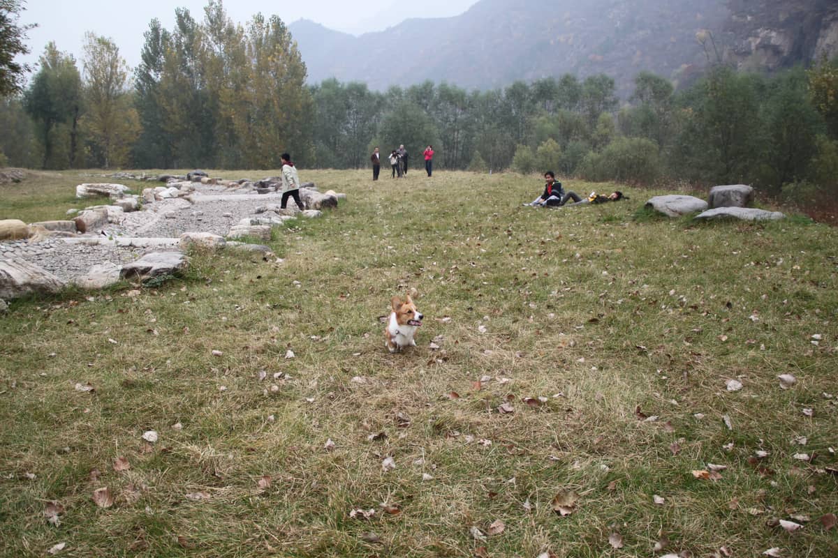 迫于搬家，送书