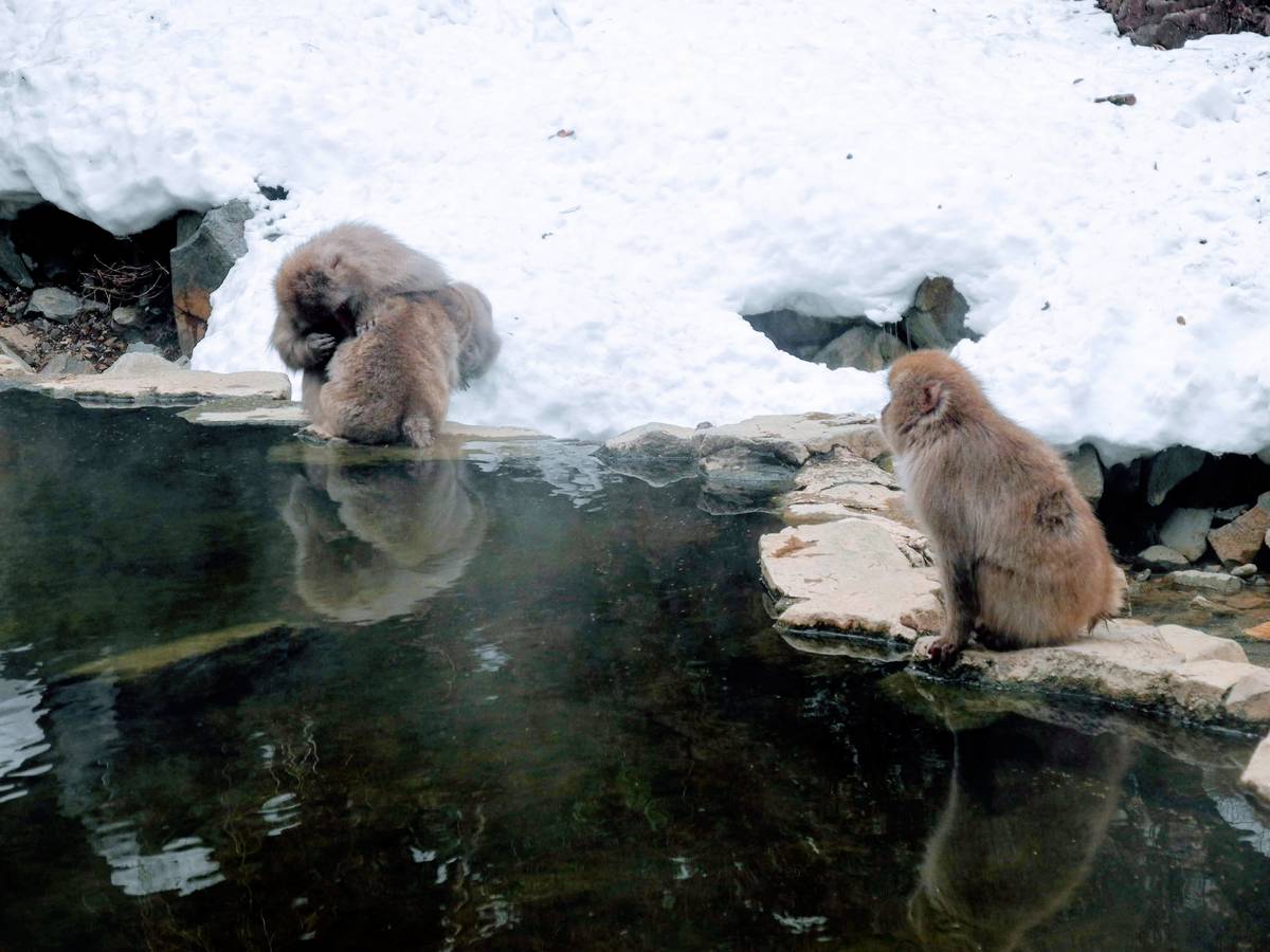 远程工作一年半，聊聊远程的问题