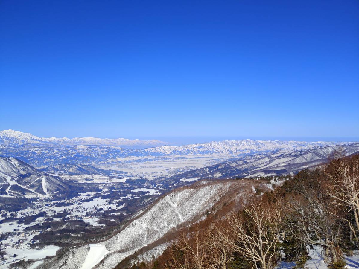 Chat：Vue 进阶必经之路