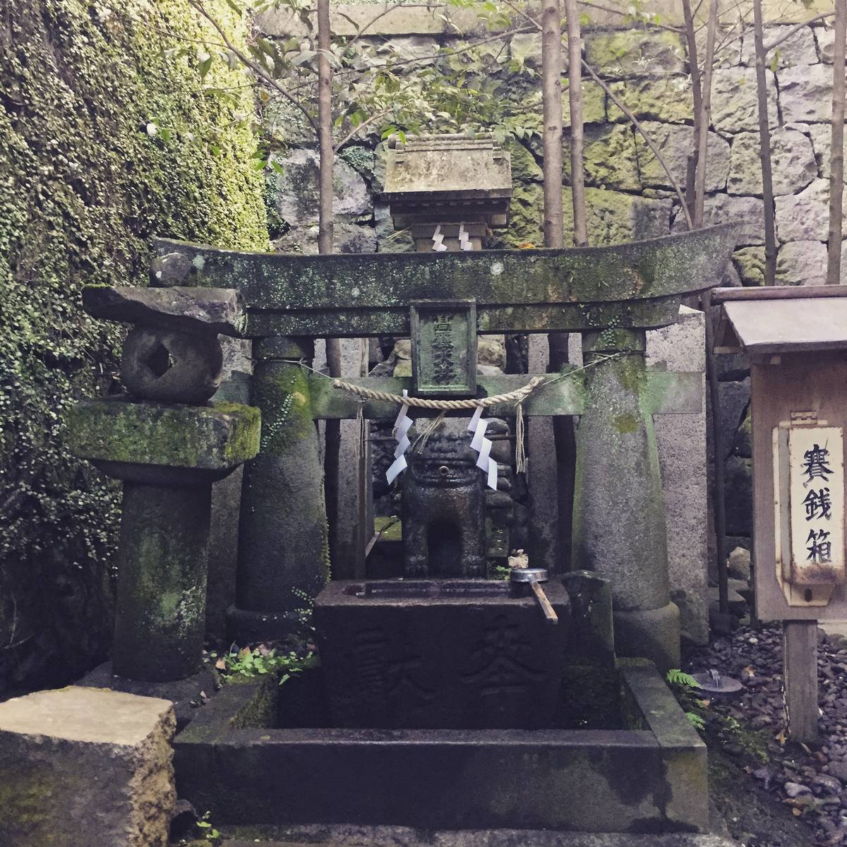 在 Node.js 12 中使用 ESM