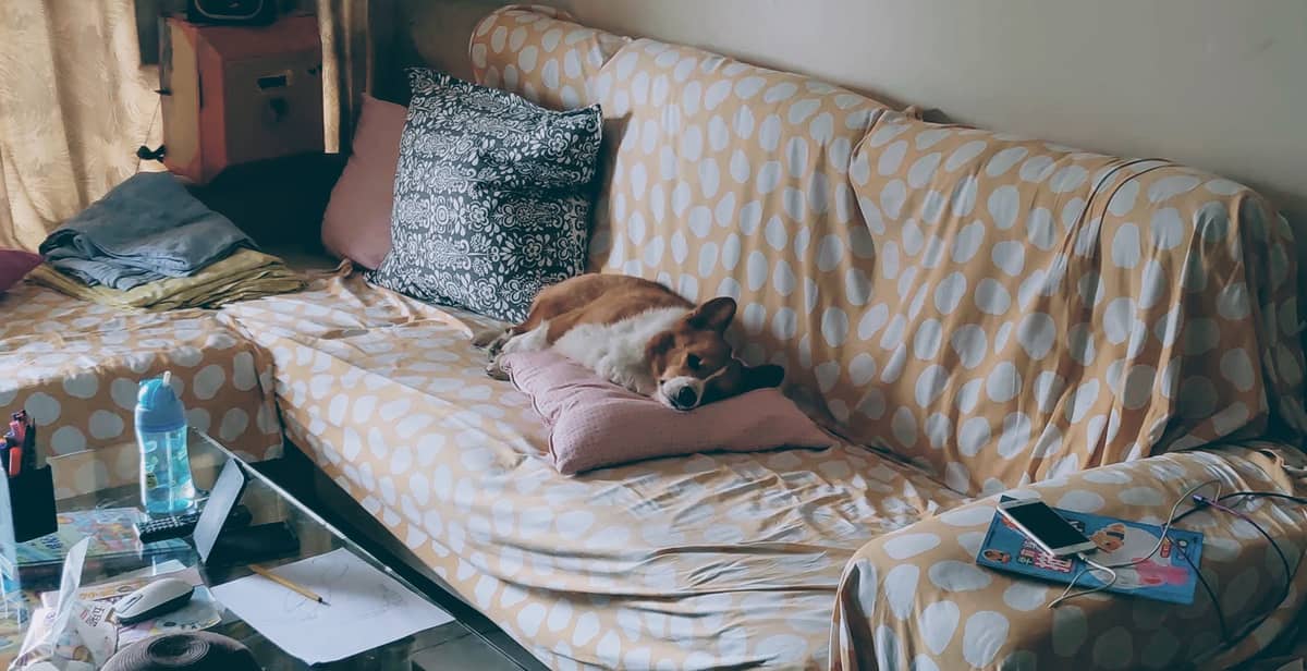 解决 load-scripts.php jQuery is not defined 的问题