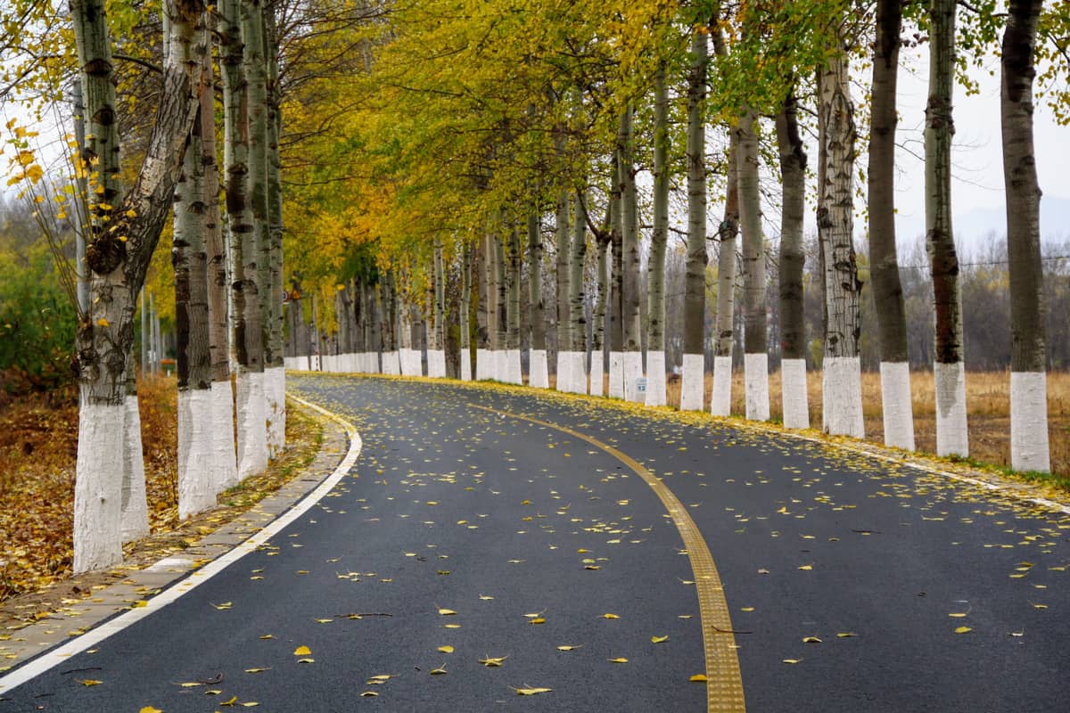 面试题：如何理解加班