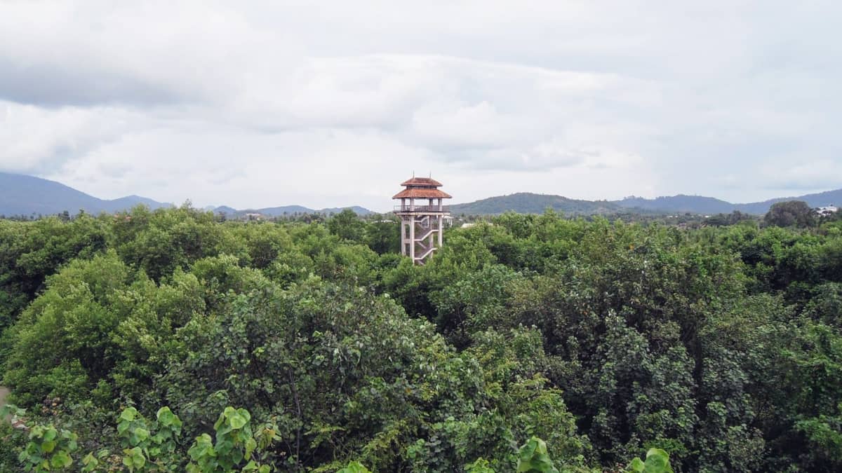 不要用战术上的勤奋掩盖站略上的懒惰