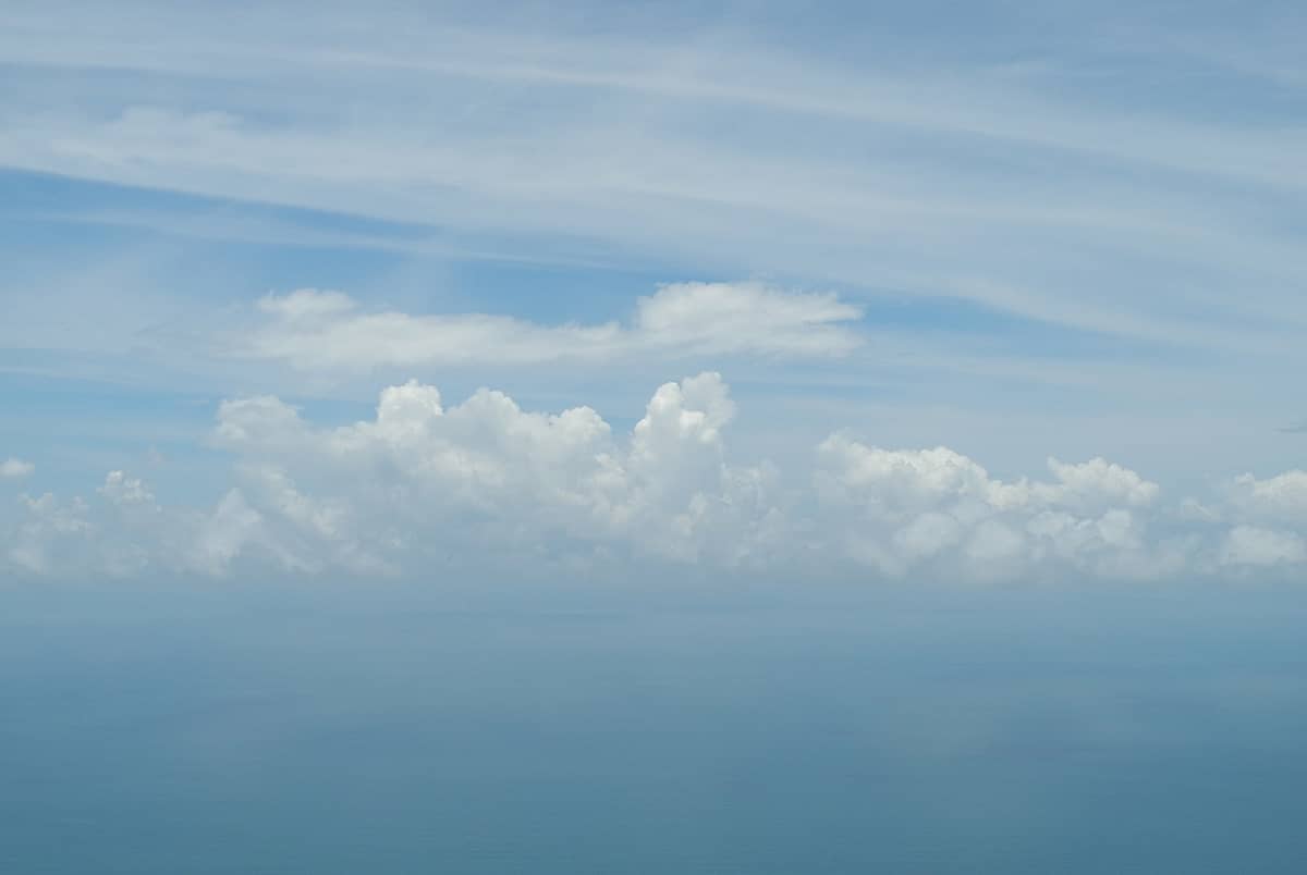 代友招聘：新西兰远程 Ng 岗位