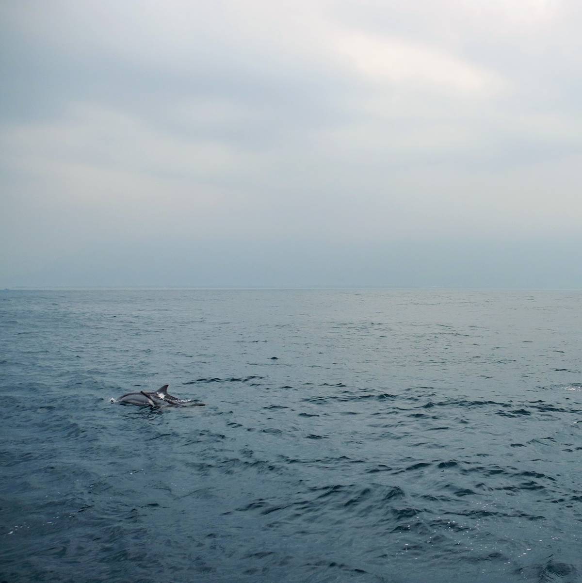 使用 <input type=”file”> 上传 ZIP/RAR 文件