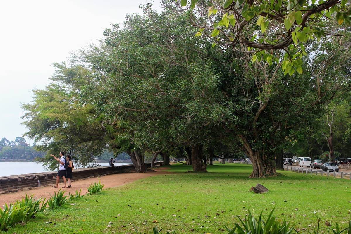 在新 Mac 上配置 Perl