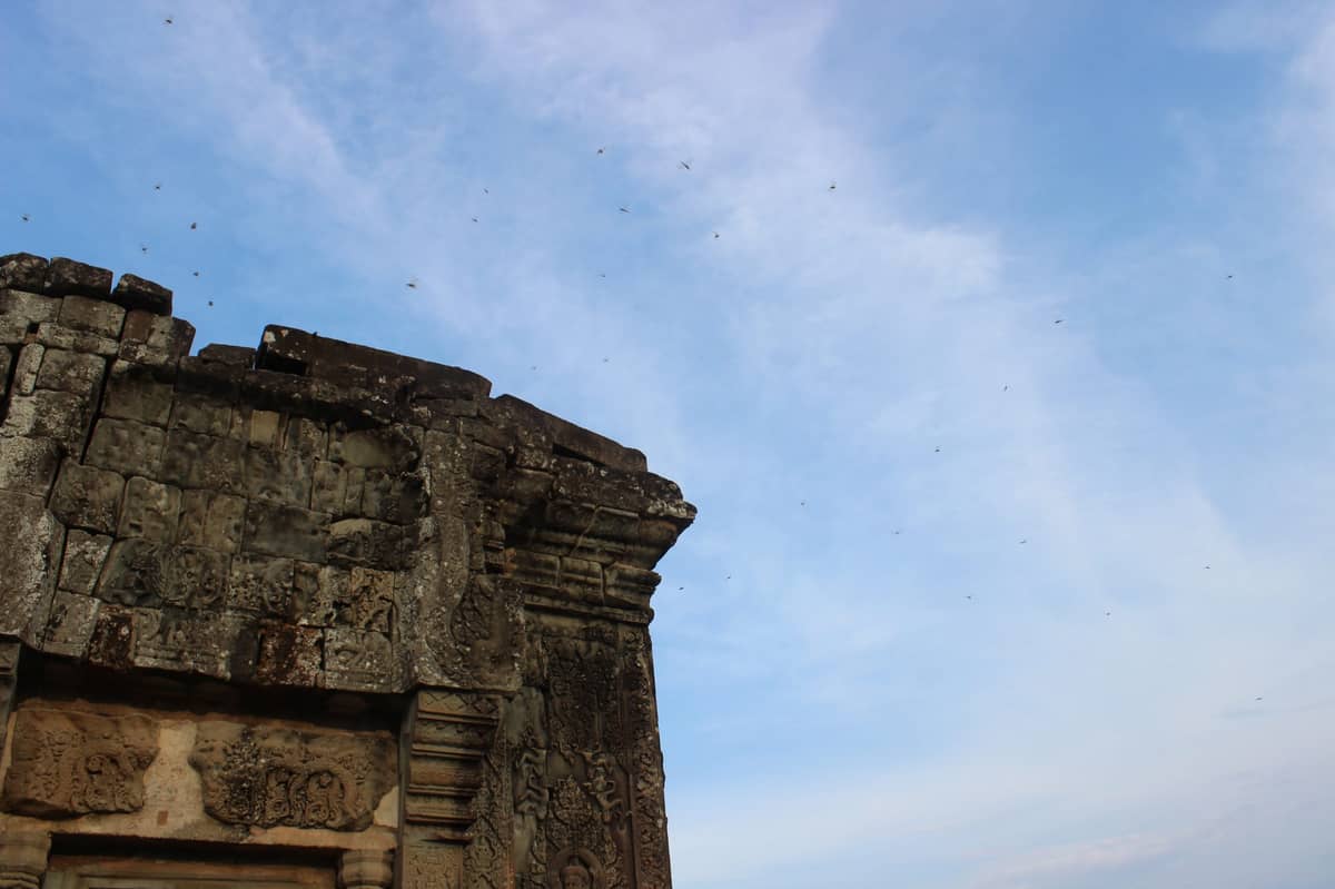 解决新机不能 npm install 私有仓库的问题