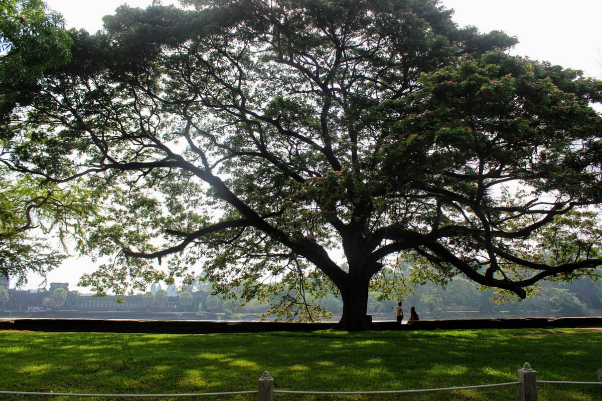 Nuxt.js 支持 core-js 3