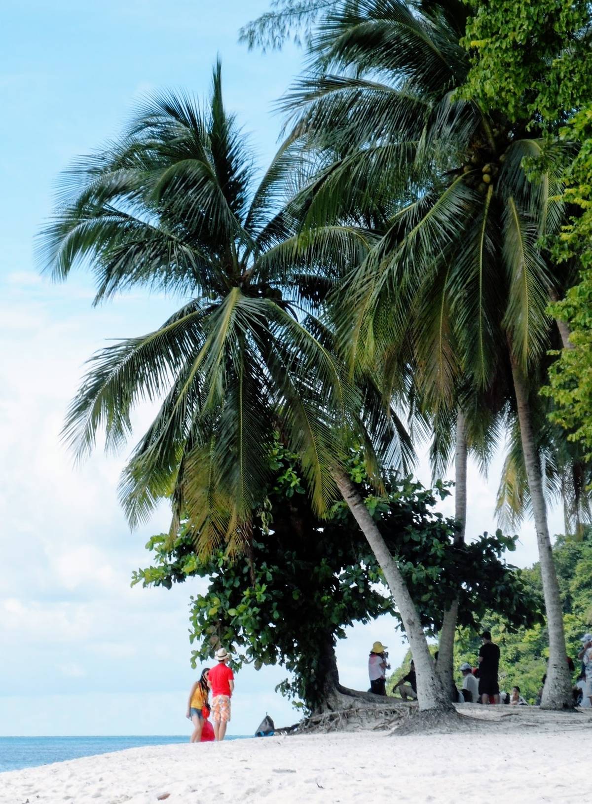 诡异的 `height: intrinsic`