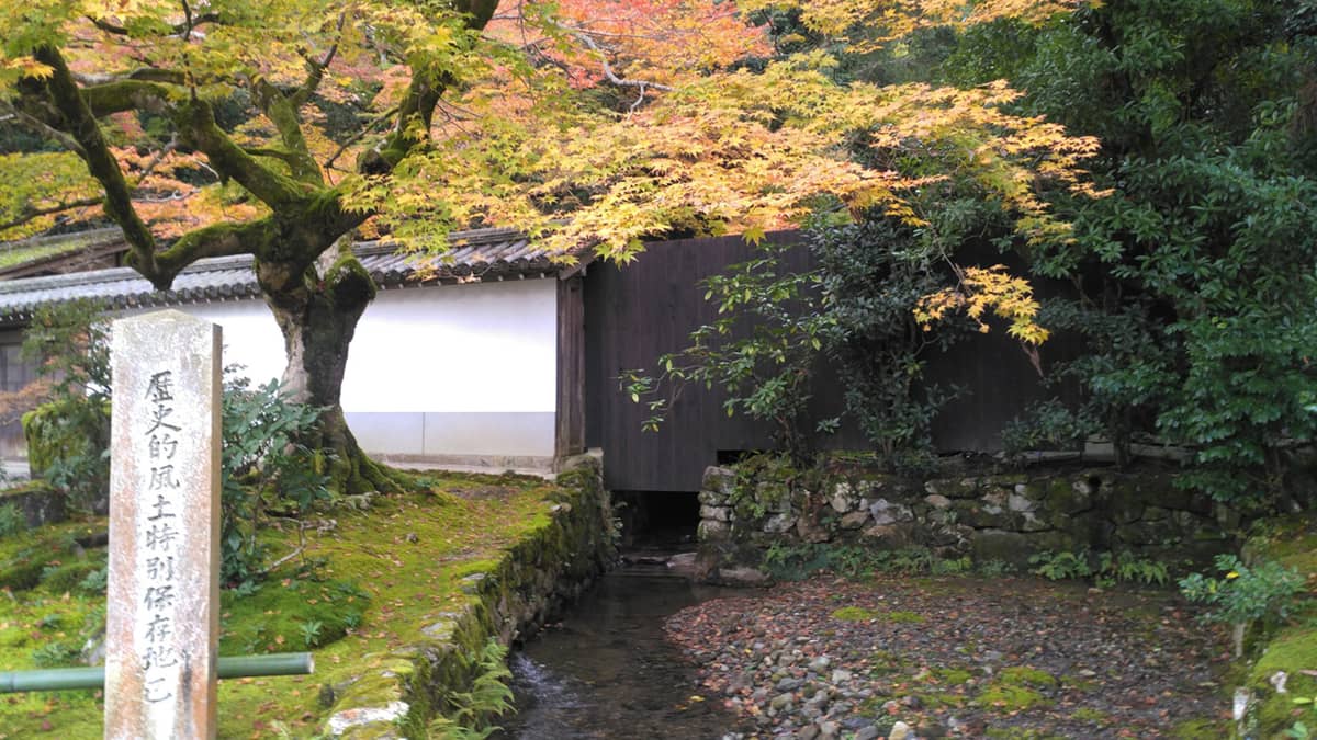 解决“[ERR_PACKAGE_PATH_NOT_EXPORTED]: No “exports” main resolved”