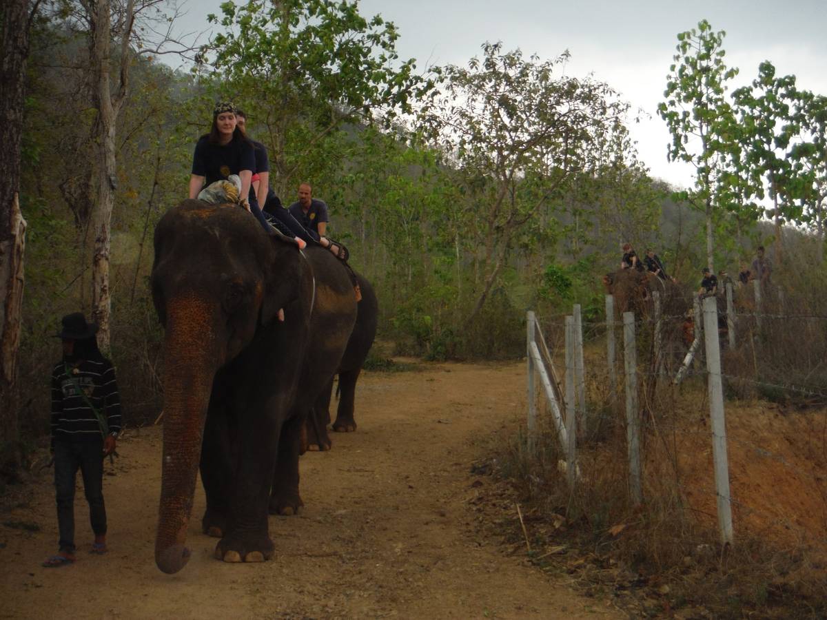 Flarum 添加导航并实现 i18n