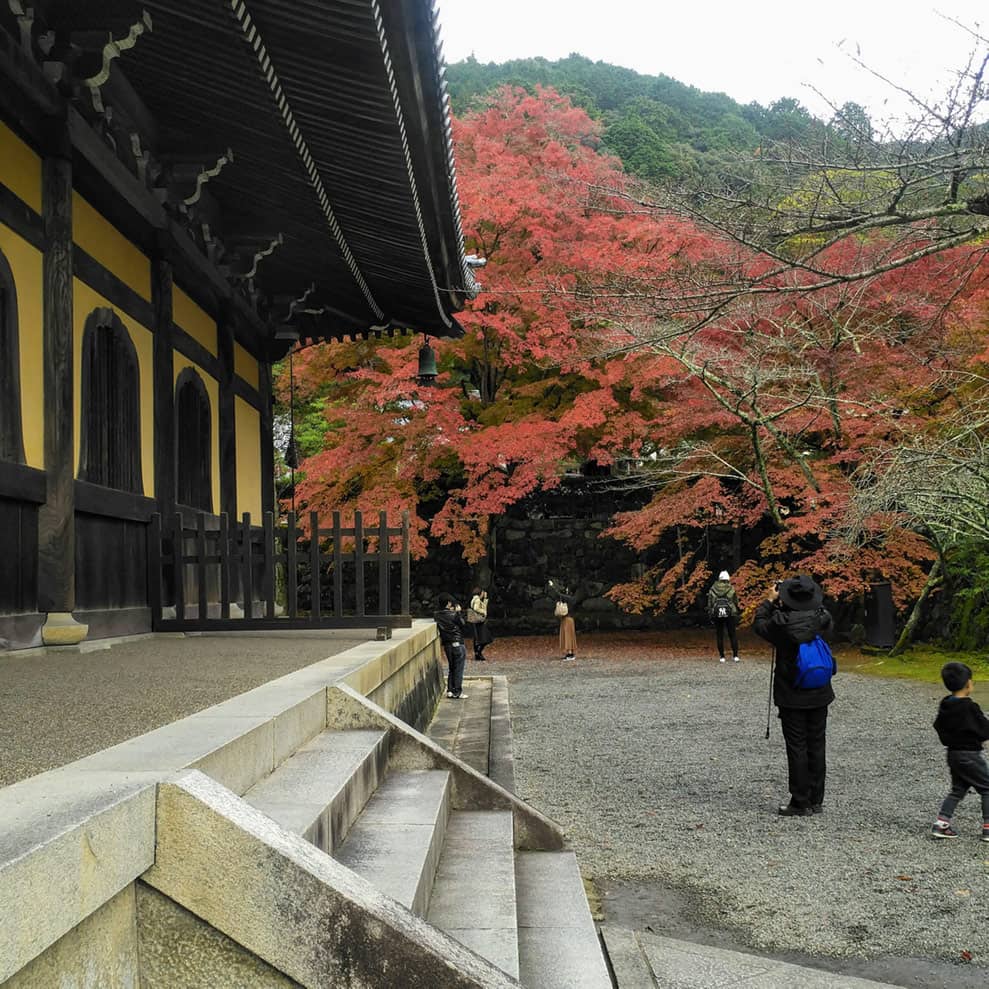 树莓派4 安装 OpenResty + PostgreSQL