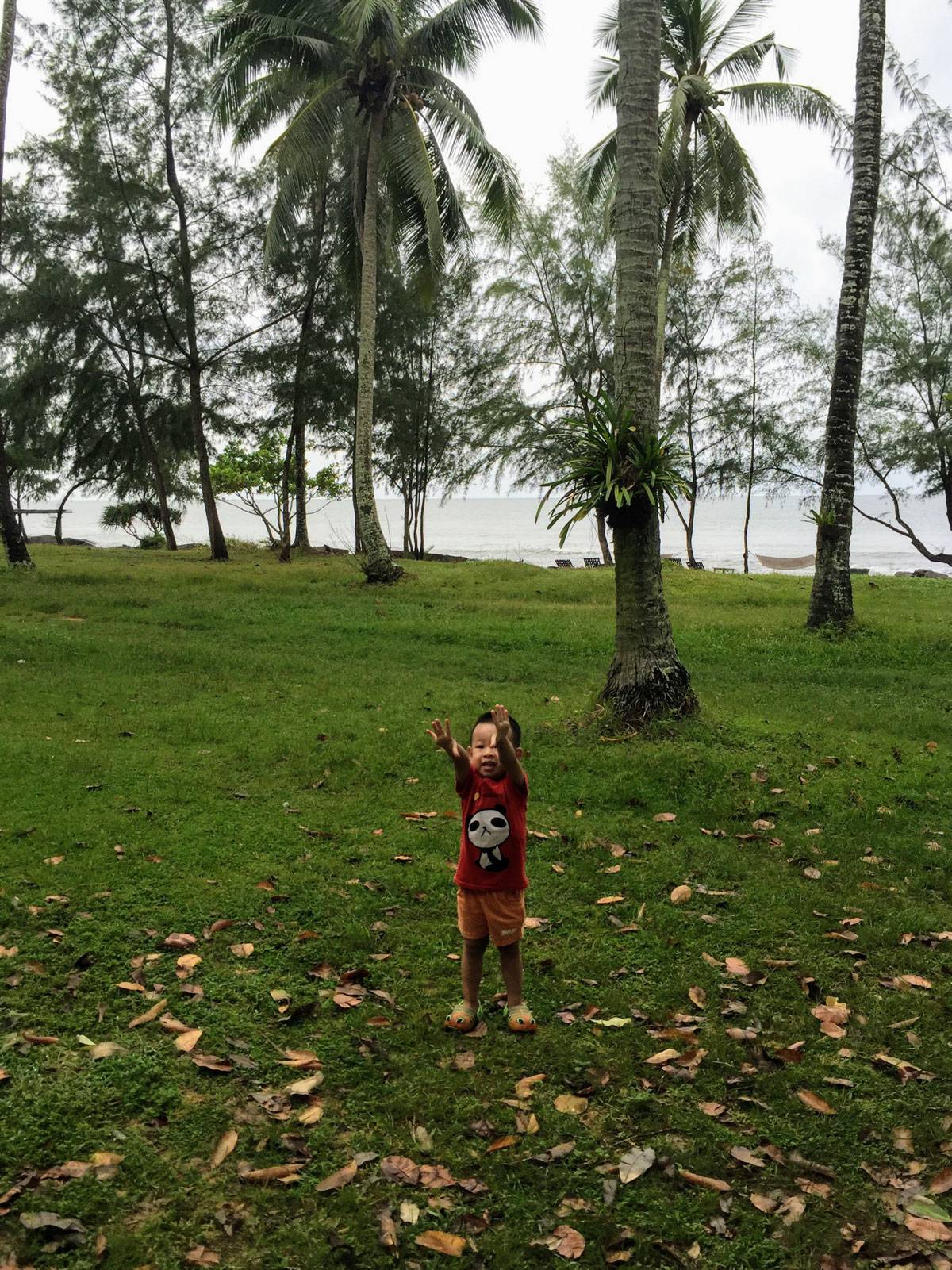 解决 WSL Ubuntu 20.04 下使用 apt 源安装 node.js 的问题