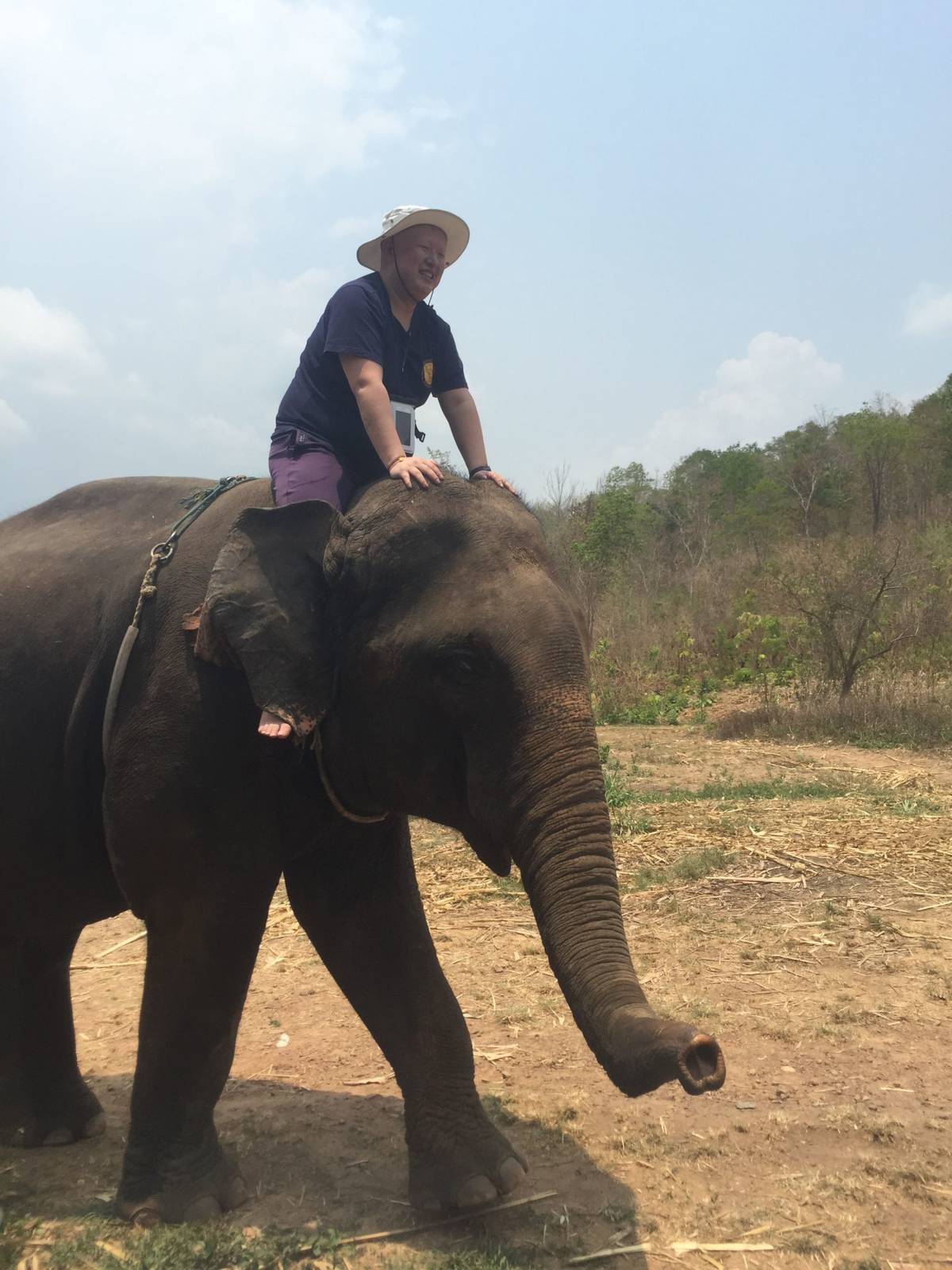 PHP 8.0 发布——JIT 到来，性能大幅提升，一堆语法糖