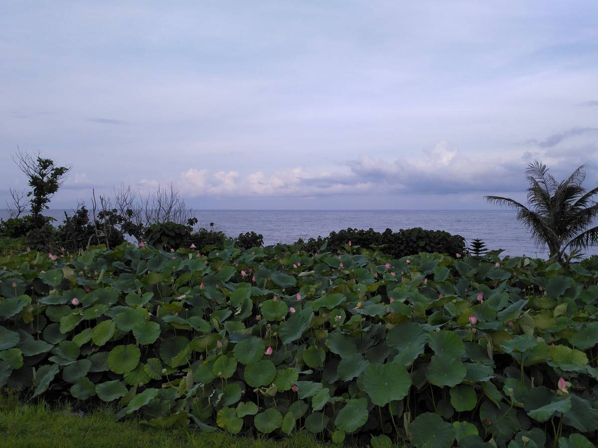 在 Windows 10 WSL 中使用 Puppeteer