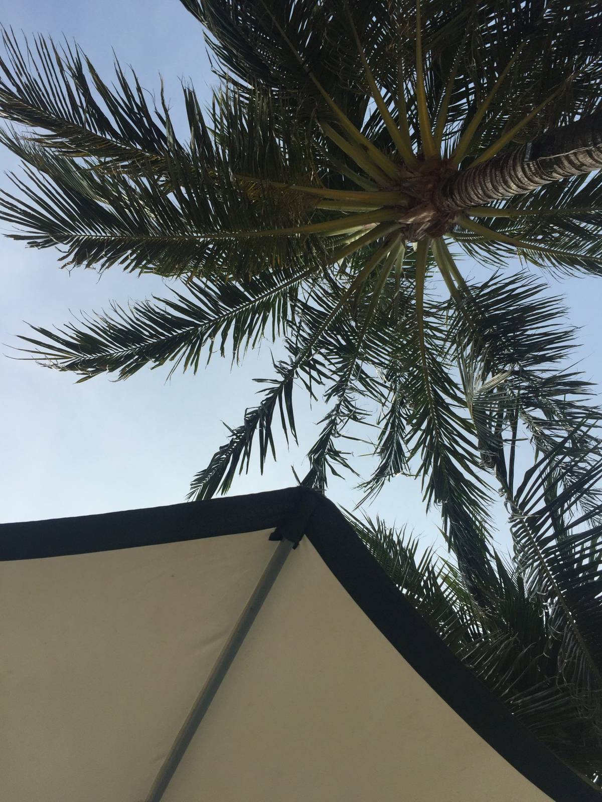 Chrome 扩展里实现 SSO