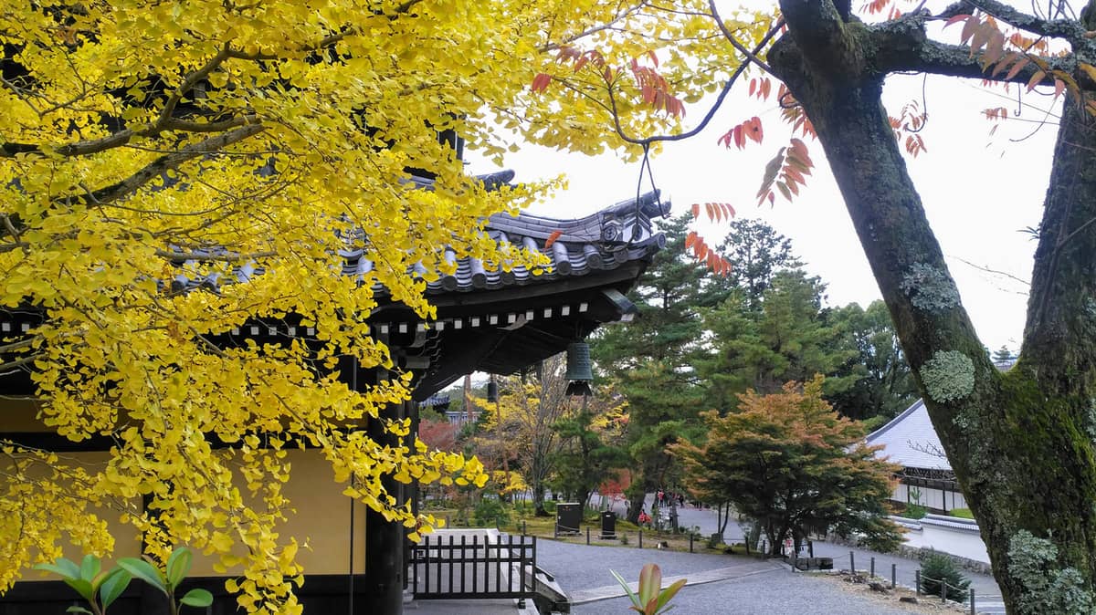 在任意上下文执行代码，`new Function` vs `eval()`