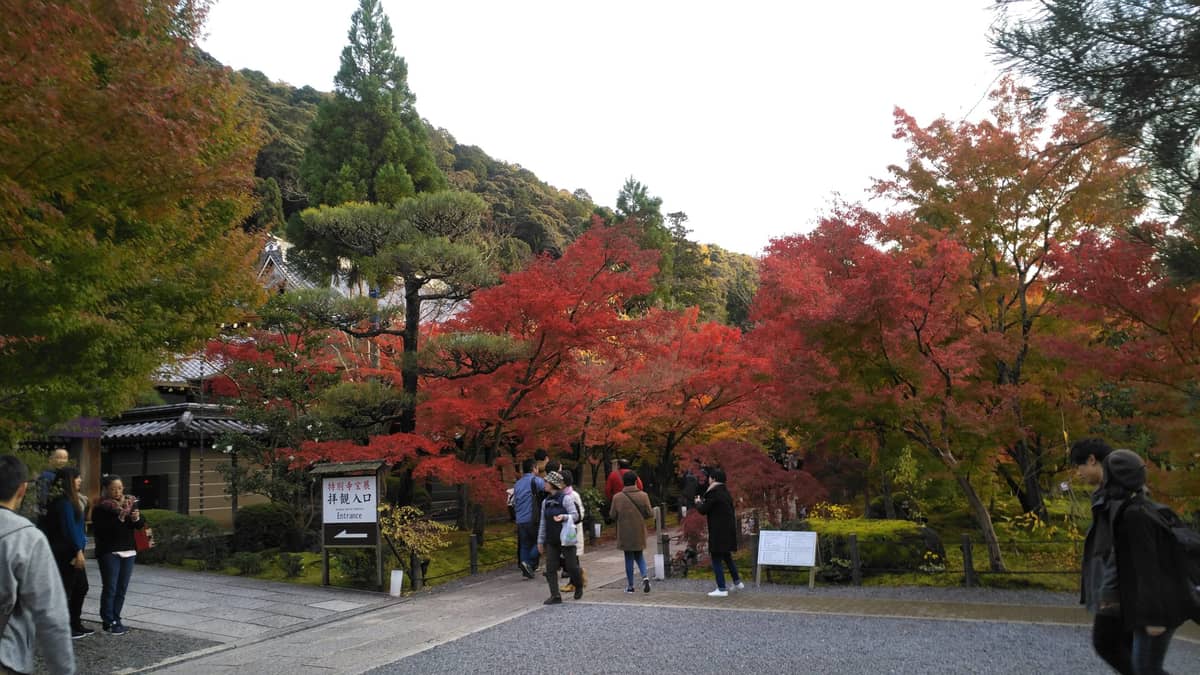 Chrome 扩展大升级 Manifest V3：设计原则