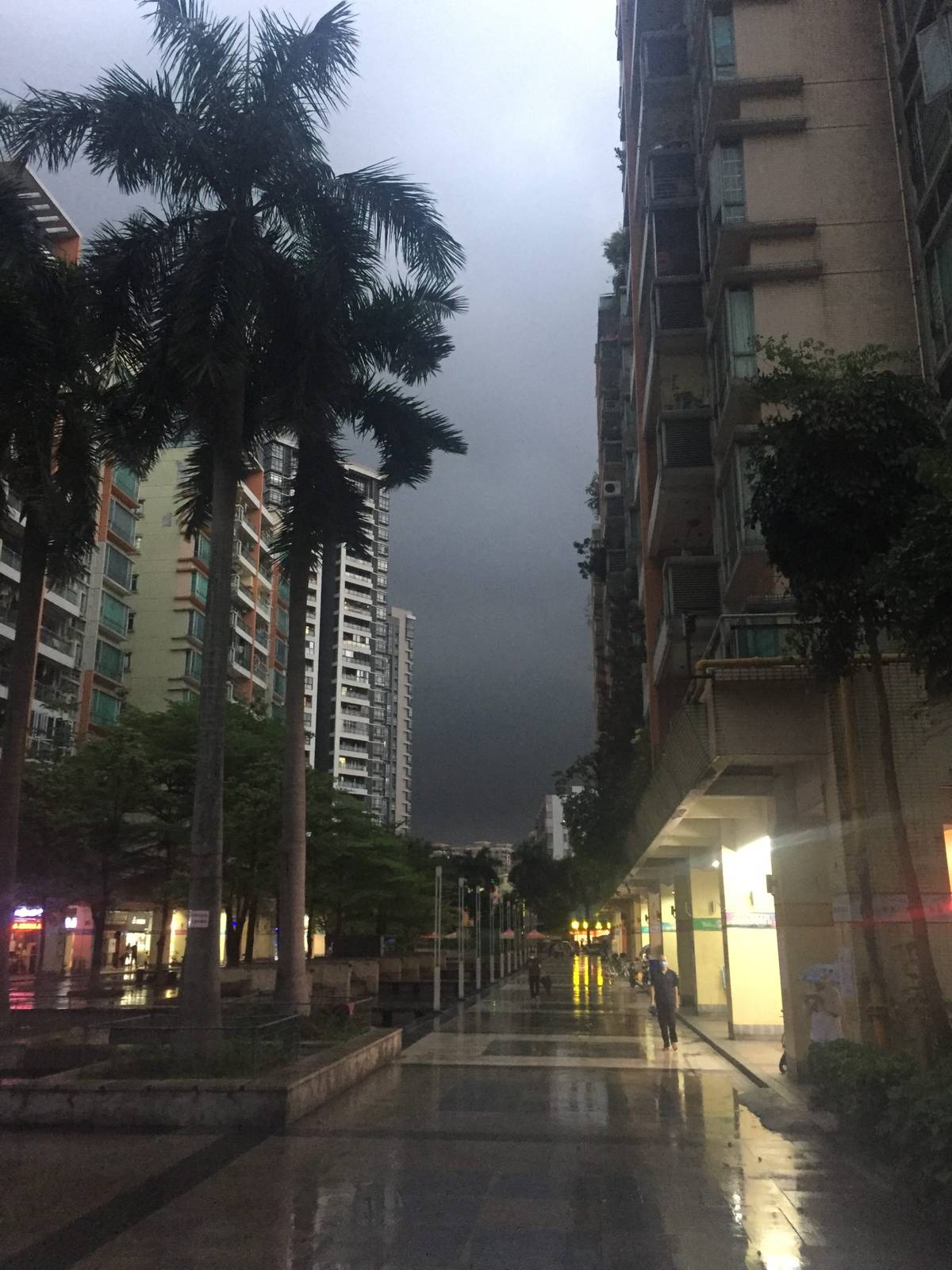 在 Fedora 34 上启动 VNC DISPLAY