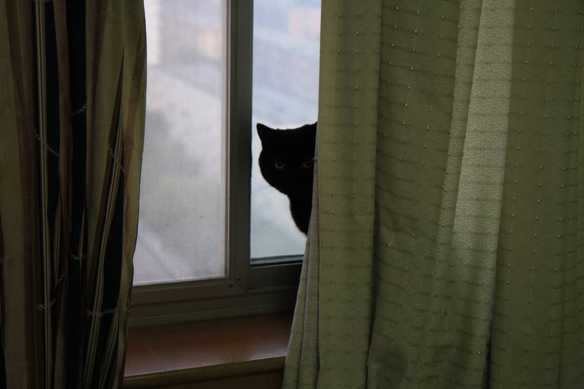 Linux 命令行科学上网