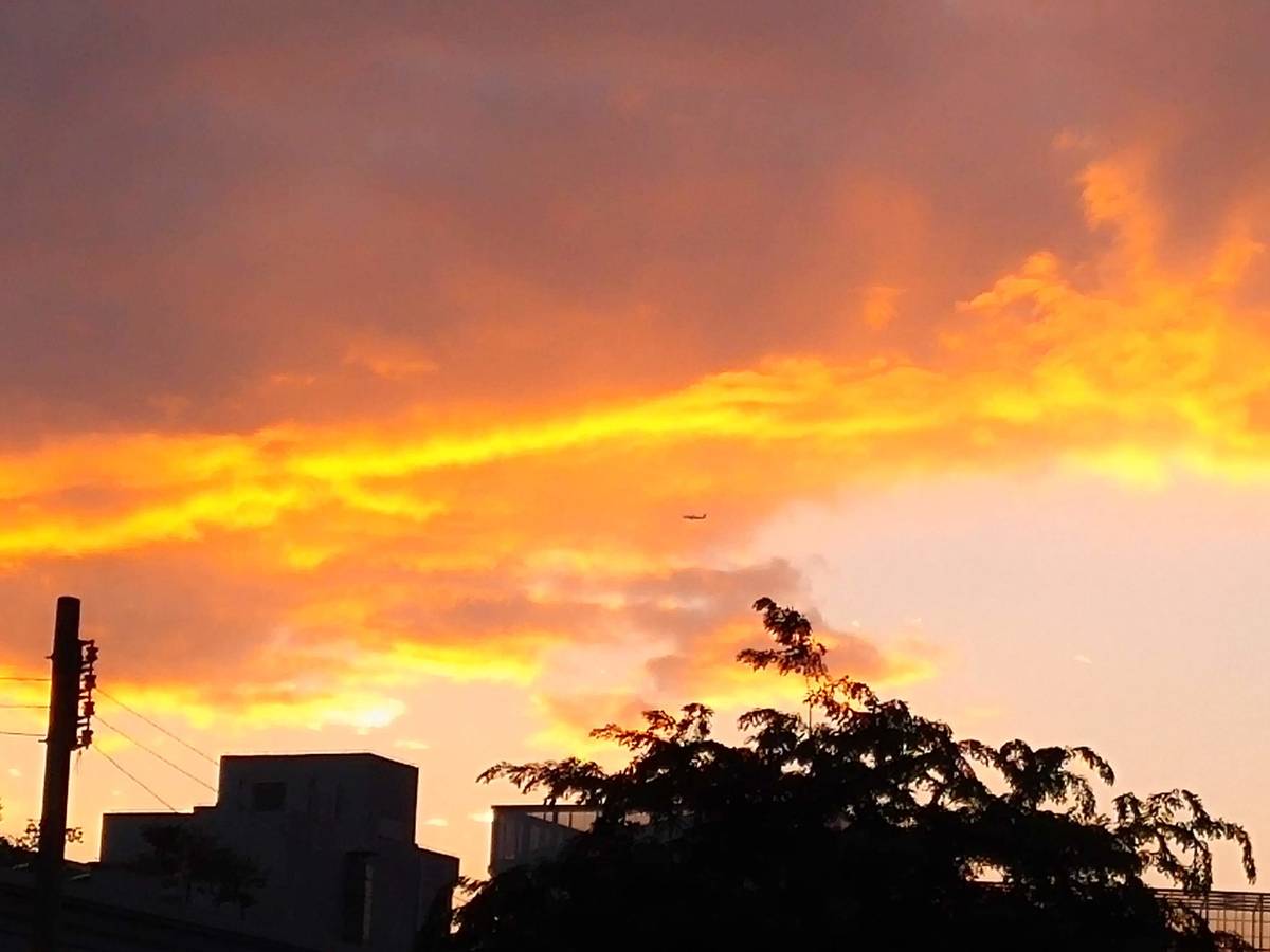 再见，OpenResty Inc.