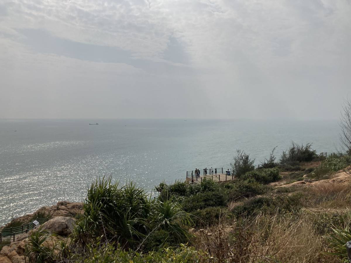 为什么要投资开源项目