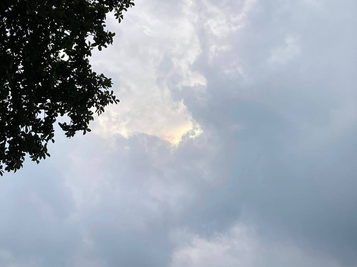 Chrome Extension MV3 在 background script 里扫描二维码并传出结果